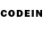 ЭКСТАЗИ Дубай Cody Kelly