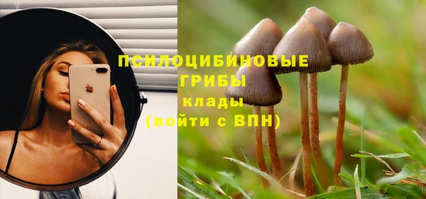 индика Алзамай