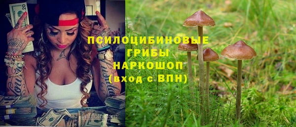 mix Алексин