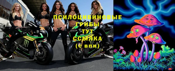индика Алзамай
