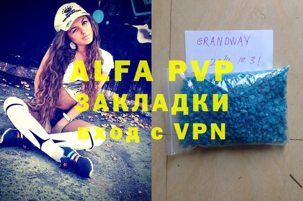 индика Алзамай