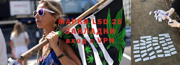 индика Алзамай