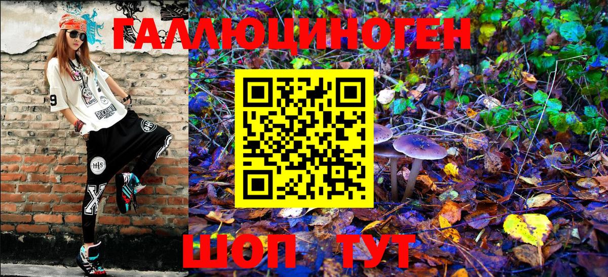 Карабулак  Галлюциногенные грибы Psilocybe  Вход с VPN 