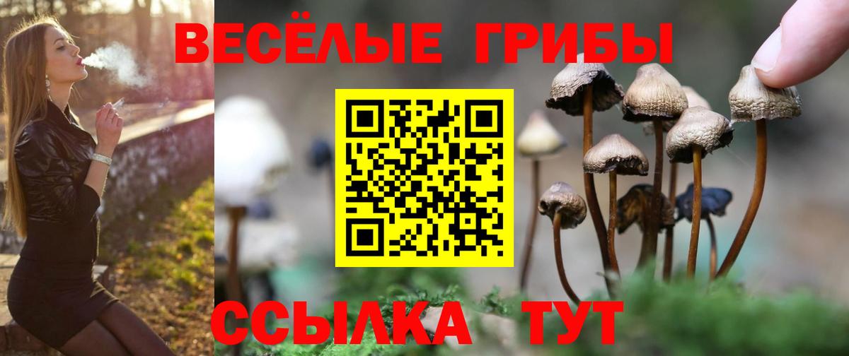 Галлюциногенные грибы Cubensis Карабулак